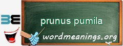 WordMeaning blackboard for prunus pumila